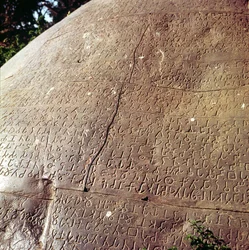 Copy of the Stone of Emperor Ashoka (detail)